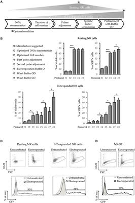 Human CAR NK Cells: A New Non-viral Method Allowing High Efficient Transfection and Strong Tumor Cell Killing